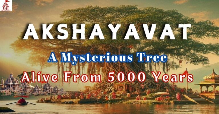 mysterious-akshayavat-tree